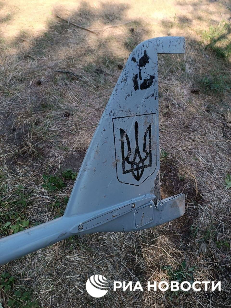 Изображение из галереи