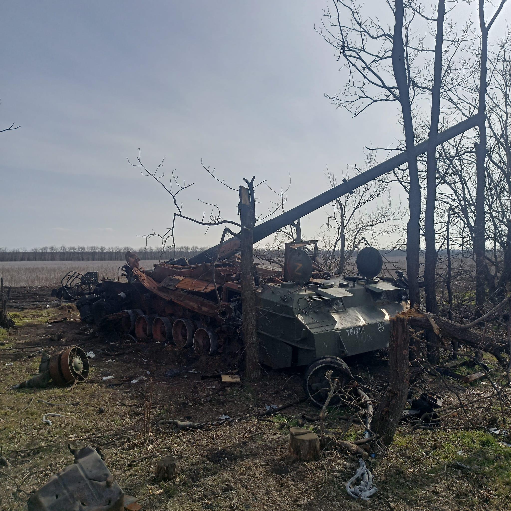 Изображение из галереи