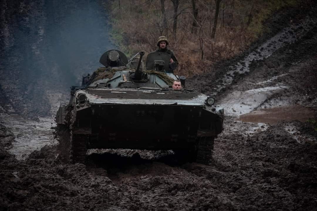 Изображение из галереи