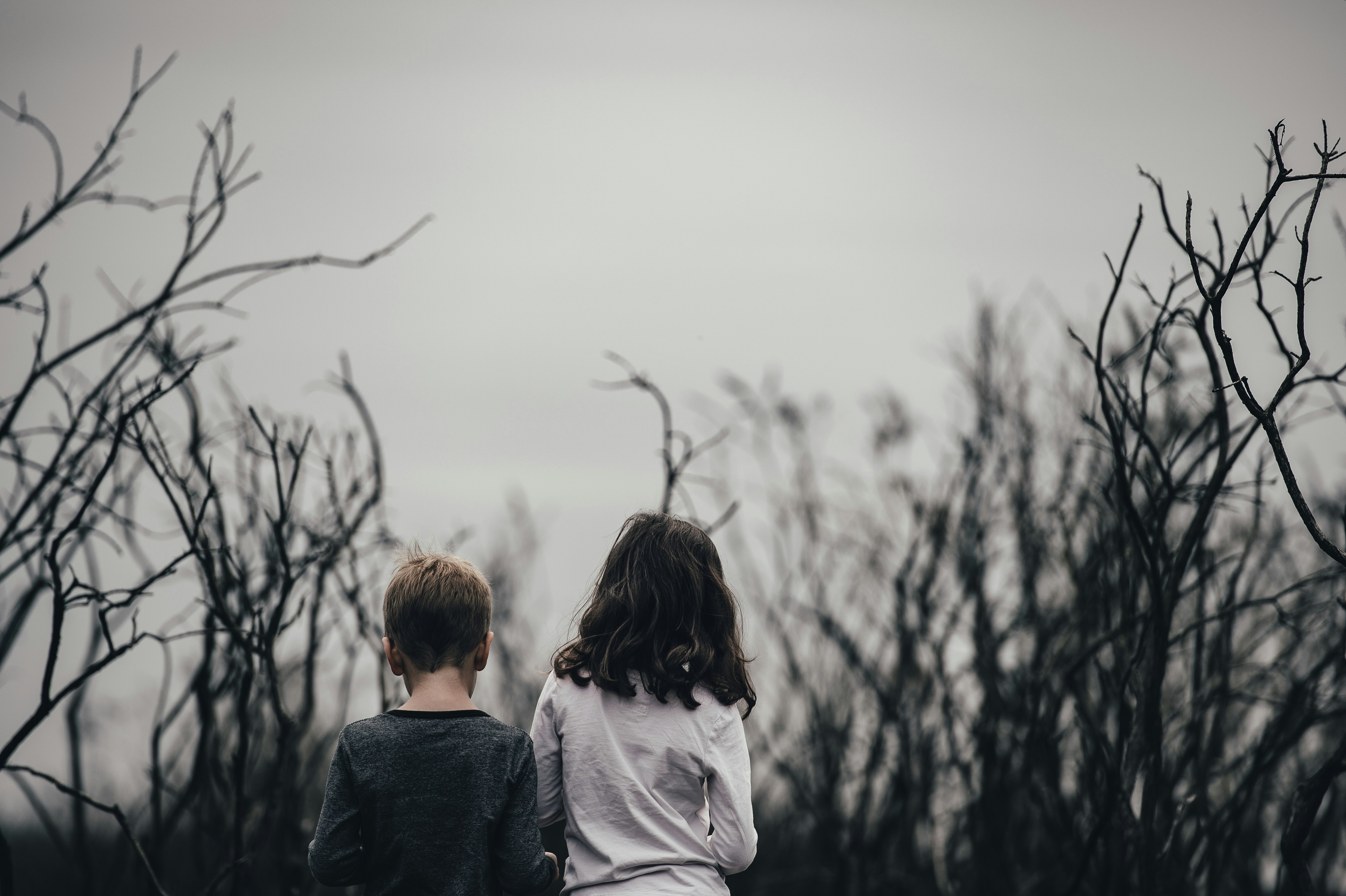 Фото: Annie Spratt, Unsplash